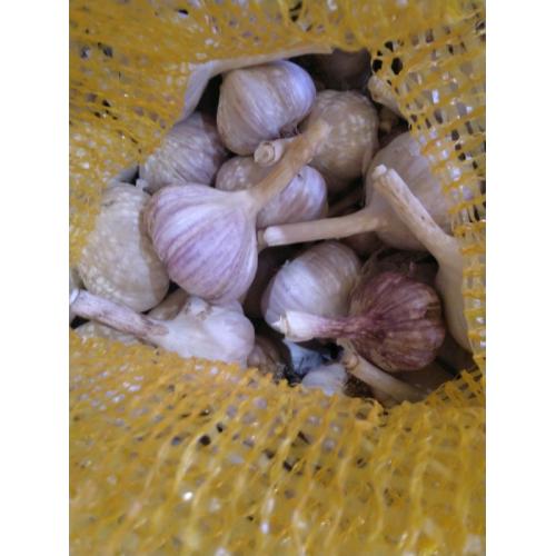 Organic home grown garlic