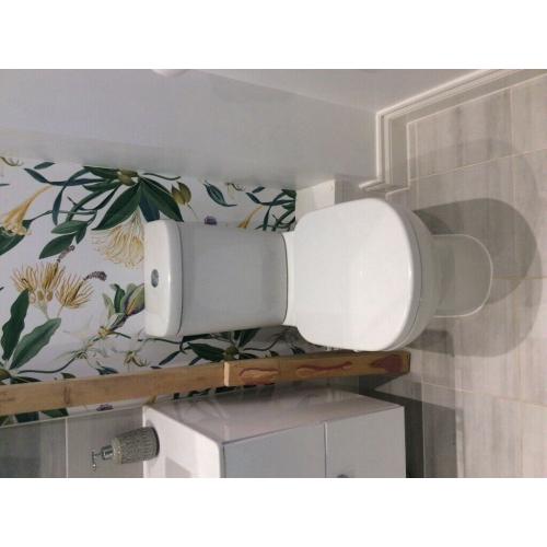 Bathroom vanity and toilet