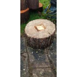 Real Tree Nordmann Blue Non Drop Christmas Trees & Log Stands
