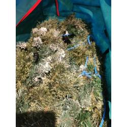 7ft prelit Christmas's tree