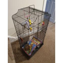 Tall Budgie Cage - Complete Starter Pack