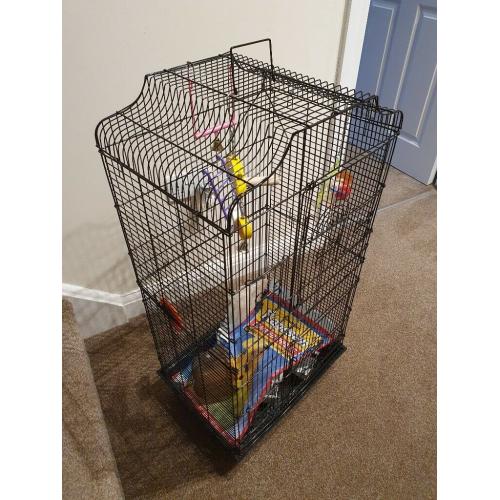 Tall Budgie Cage - Complete Starter Pack