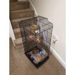 Tall Budgie Cage - Complete Starter Pack