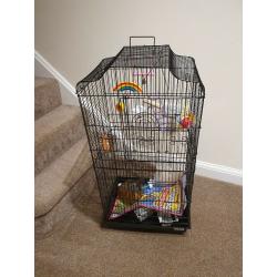Tall Budgie Cage - Complete Starter Pack