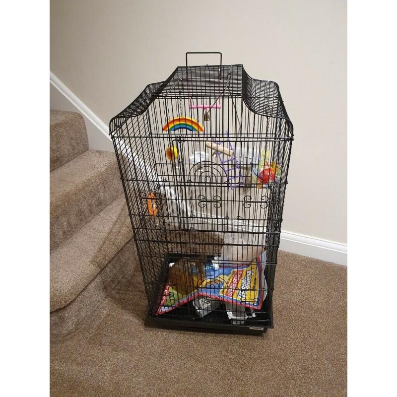 Tall Budgie Cage - Complete Starter Pack