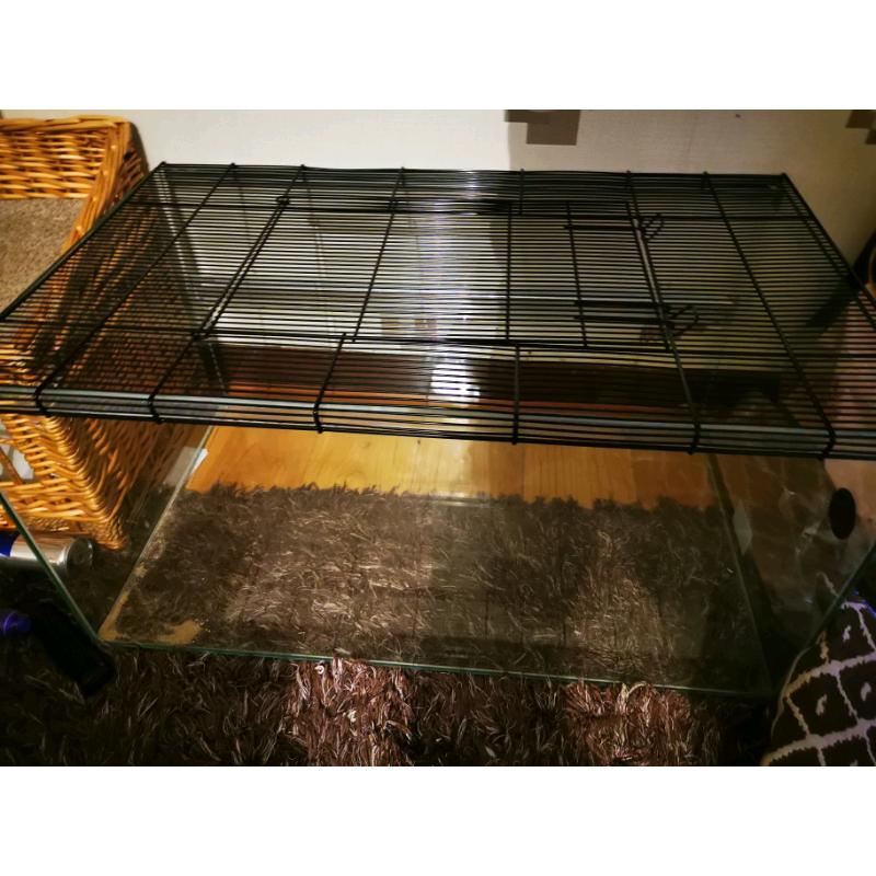 Glass hamster cage