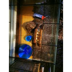 Glass hamster cage