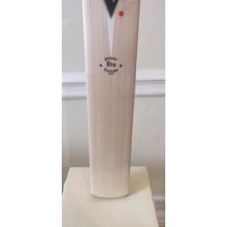Vulcan Pro cricket Bat