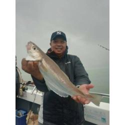 Fishing trips from poole quay