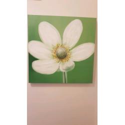 Green room decor