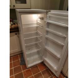 Beko Tall Fridge