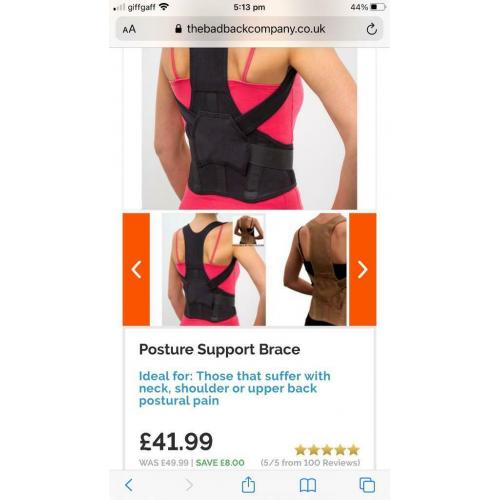 Posture/Back Support Brace