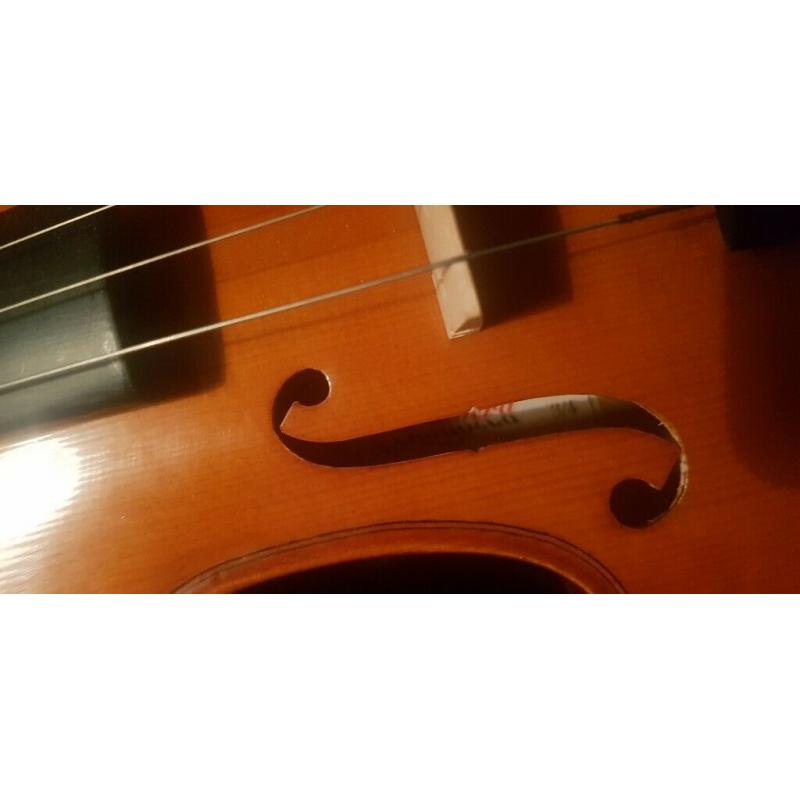Violin