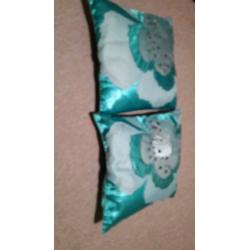 2 Next cushions