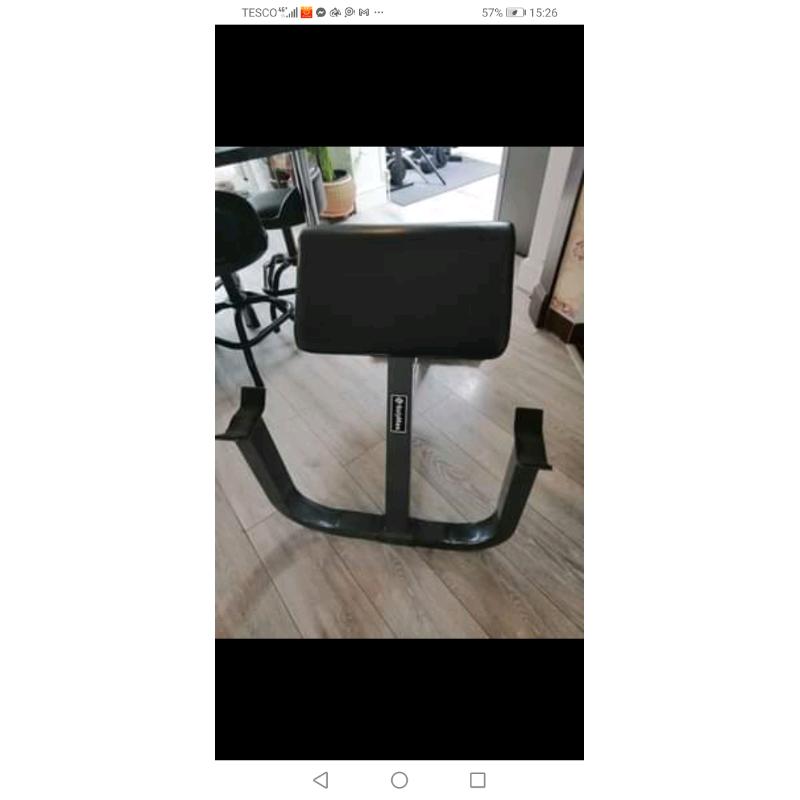 Bodymax bicep solid preacher no weights gym