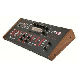 Dave Smith Instruments Prophet 12 Module