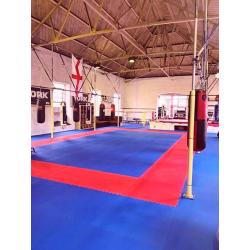 25pcs 40mm Jigsaw Mats Red/Blue Martial Arts, BJJ, MMA, Judo, Fitness 1m2 Medium Density Brand New