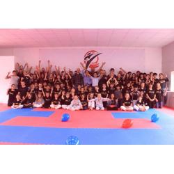 25pcs 40mm Jigsaw Mats Red/Blue Martial Arts, BJJ, MMA, Judo, Fitness 1m2 Medium Density Brand New
