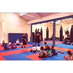 25pcs 40mm Jigsaw Mats Red/Blue Martial Arts, BJJ, MMA, Judo, Fitness 1m2 Medium Density Brand New