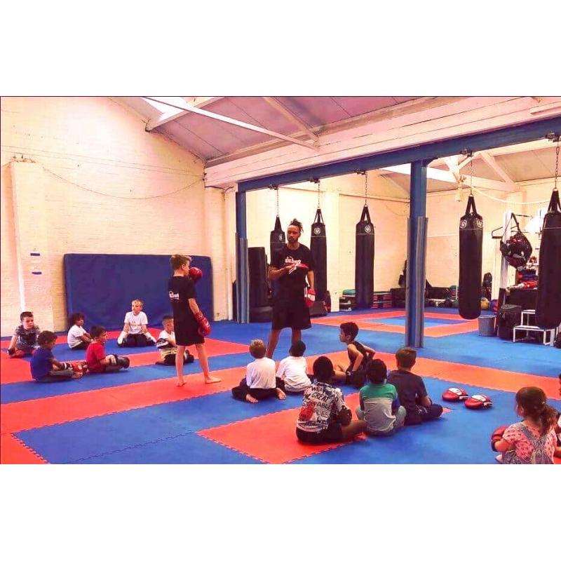 25pcs 40mm Jigsaw Mats Red/Blue Martial Arts, BJJ, MMA, Judo, Fitness 1m2 Medium Density Brand New