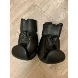 Muay thai gloves