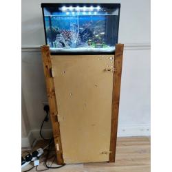 Fish tank, fish and cabinet for sale, includes everything you need to keep fish