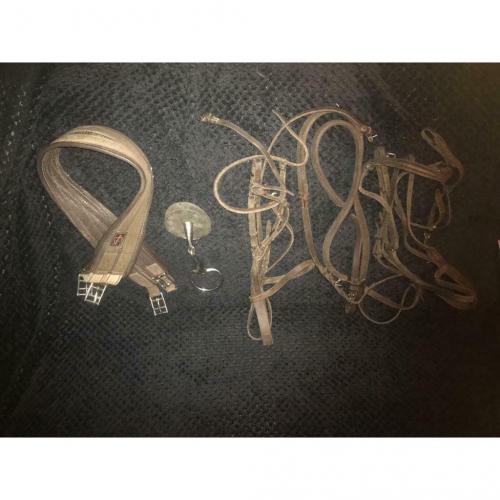 Horse tack