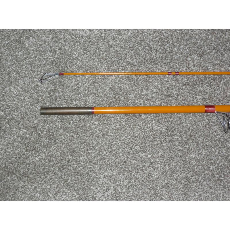 Edgar Sealey 'Ernie Stamford' 9ft 6 Swingtip Rod VGC