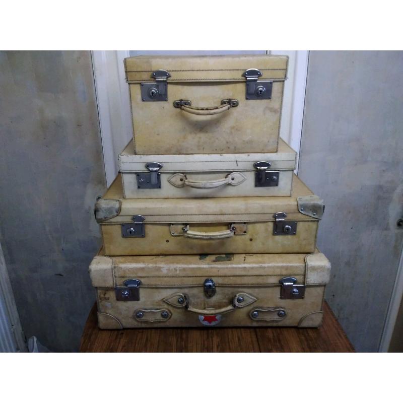 Velum suitcases