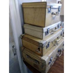 Velum suitcases