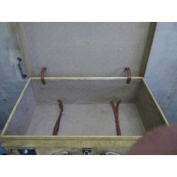 Velum suitcases